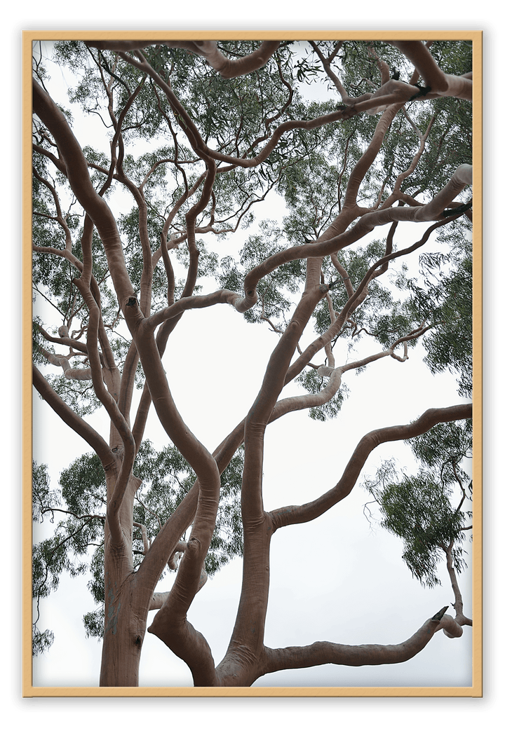 Canvas Print 50x70cm / Natural Tubos Brand